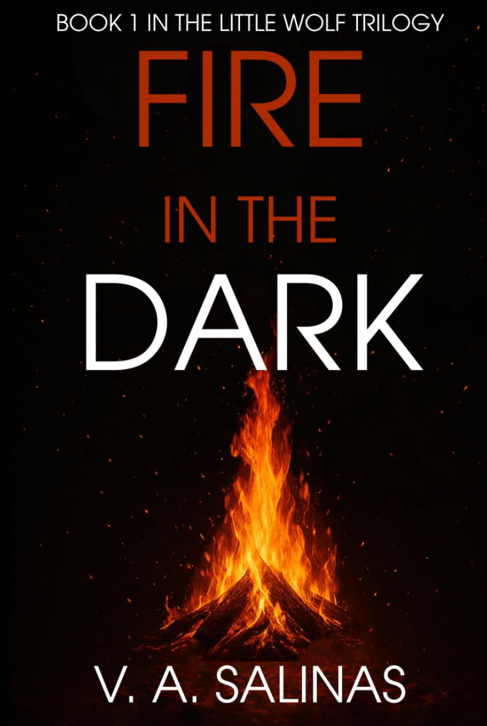 Fire in the Dark (The Little Wolf Trilogy)