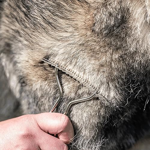 Sprenger - Hundekratzer, Unterwolle und Dreck entfernen, Stahl vernickelt - Silber