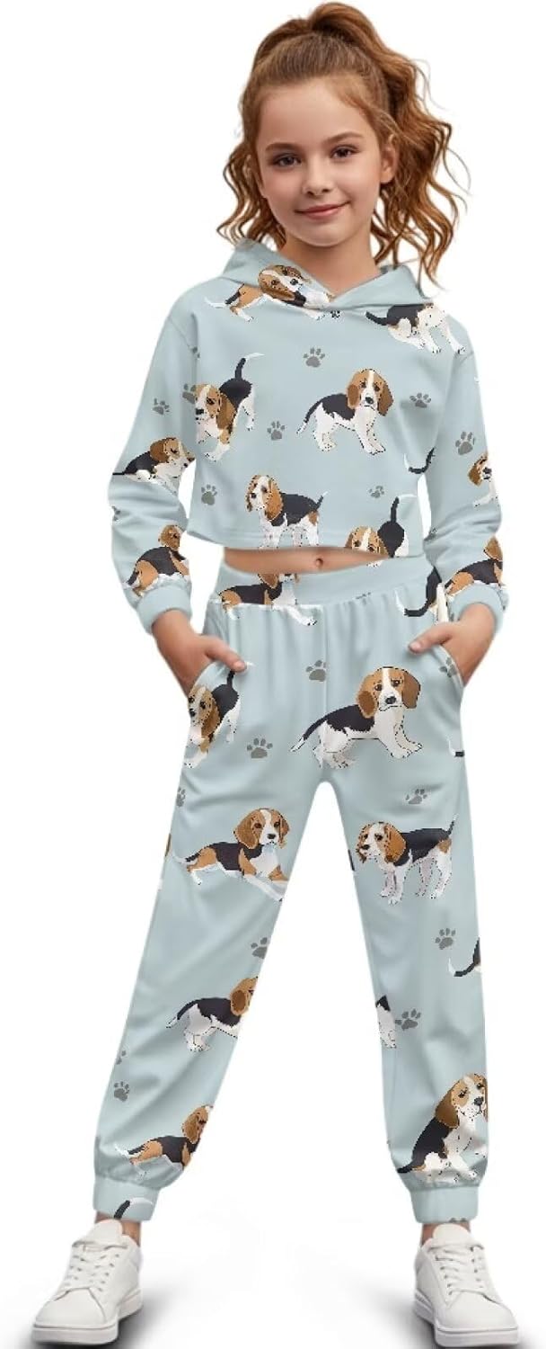 Girl 2 Piece Outfits Crop Tops Hoodie Sweatsuit Sets Long Sleeve Sweatshirt Fall Fashion Sweatpants with Pockets