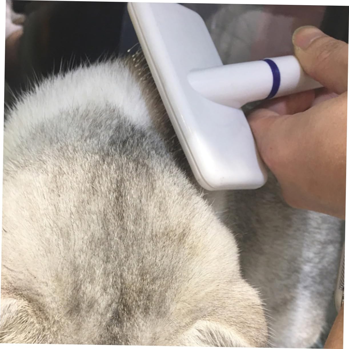 Brosse Pour Chien Et Chat à Poils Courts Ou Longs Manche Ergonomique Facile à Transporter Pour Toilettage