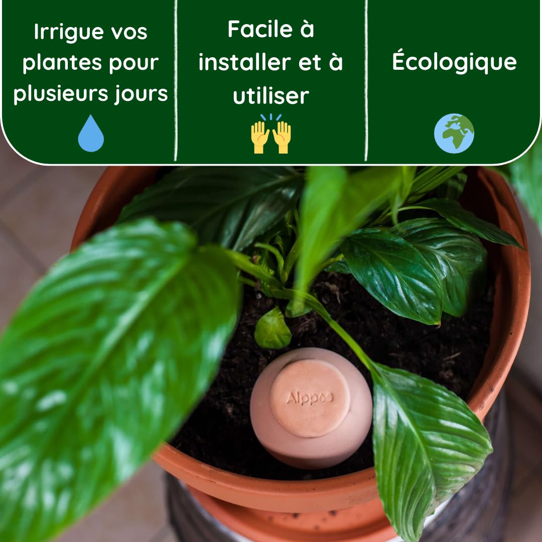 Oyas a 3 Oyas à Planter de 300 ML en Terre Cuite avec Couvercle - ollas pour Plante intérieure et extérieure - Goutte à Goutte par capilarité