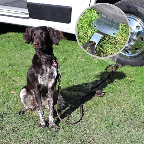 Bodenanker für Hunde abnehmbar, Auffahrplatte zum Anleinen, Dogholder, Hunde Anker Bodenplatte aus Stahl (1)