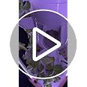 Hydroponic farming system