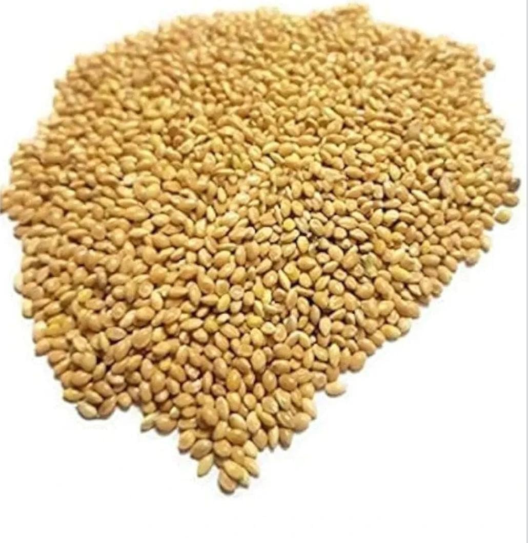 Pet Love's Foxtail Millet for Birds Bird Food for for All Life Stages Canary, Finches, Waxbills, Budgies, Lovebirds, Cockatiels, Parrots & Parakeets,/ 2 KG-image-21