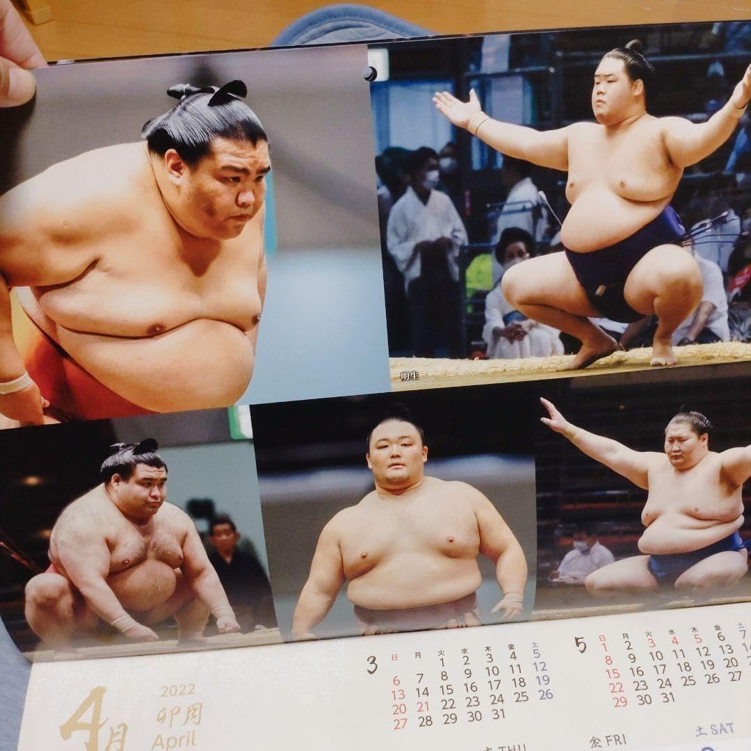 リン・スターム・レヴィ画集 相撲の世界 リン・スターム・レヴィ画集 相撲の世界