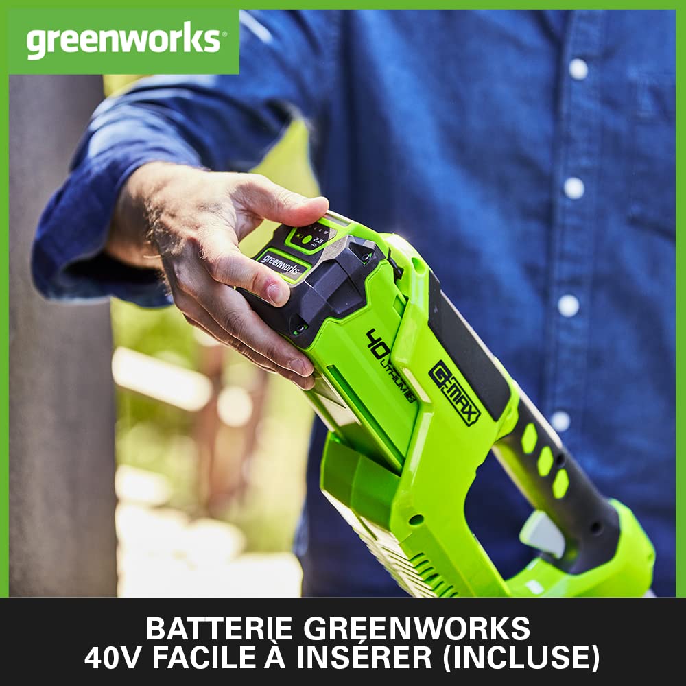 Greenworks 40V Coupe Bordure Sans Fil pour Jardins Moyens, Hauteur Réglable, Largeur de 30 cm, Fil Nylon 1,65 mm à Alimentation Automatique, 2 Batteries 40V 2Ah et Chargeur, Garantie 3 Ans G40LTK2X