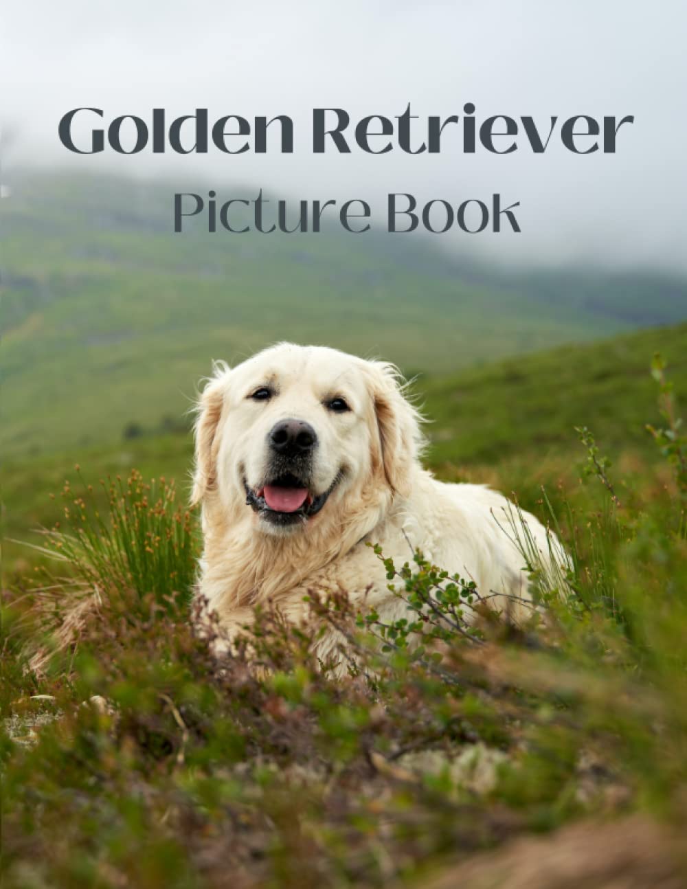 Golden Retriever Picture Book: Gift Idea for Golden Retriever Lovers