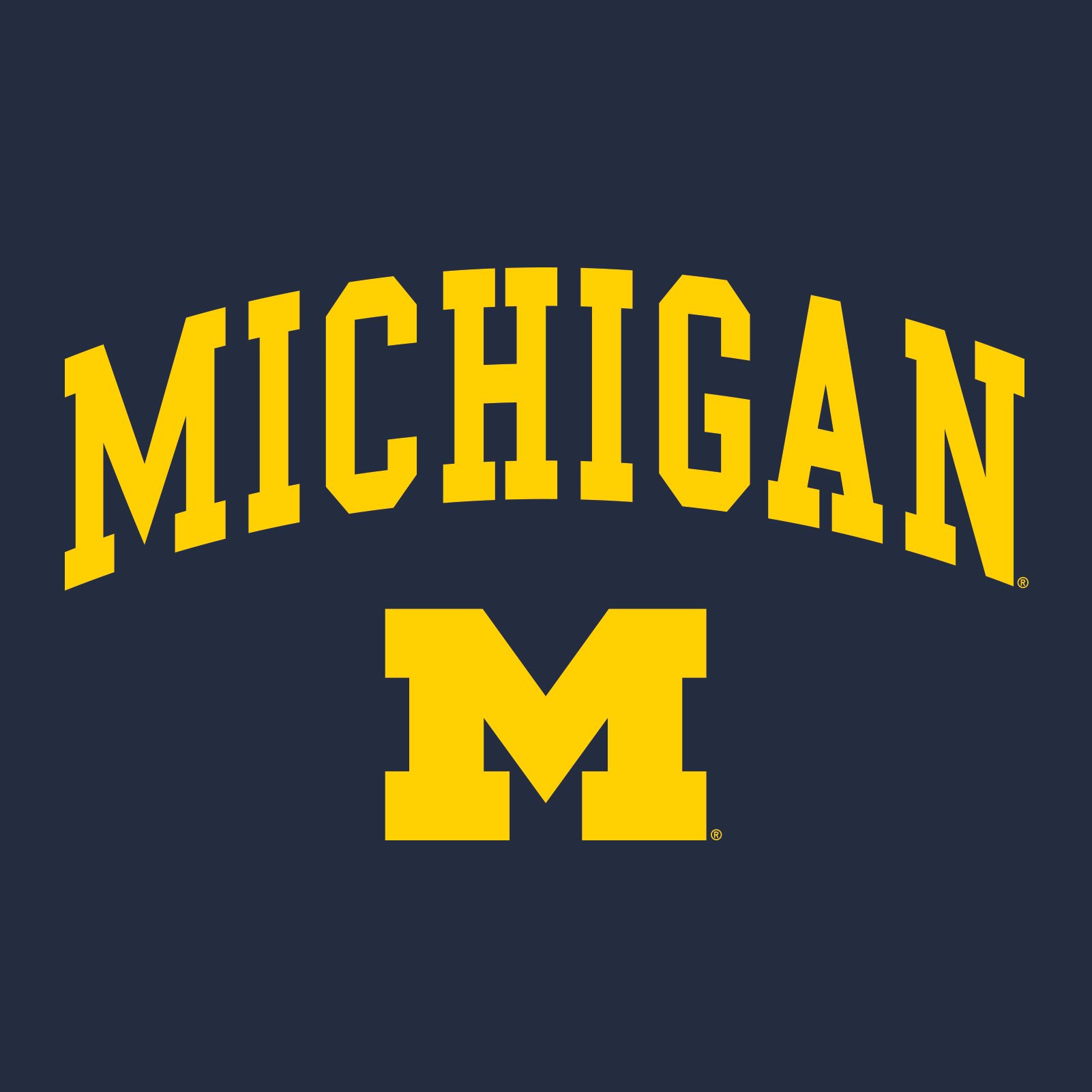 UGP Campus Apparel S3H3-A Michigan Wolverines Arch Logo T Shirt & Hoodie Bundle - 2X-Large Navy