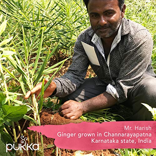 Pukka Organic Tea Bags, Elderberry & Echinacea Herbal Tea, Perfect For Wellness Support, 20 Count (Pack Of 6) 120 Tea Bags #TOP4