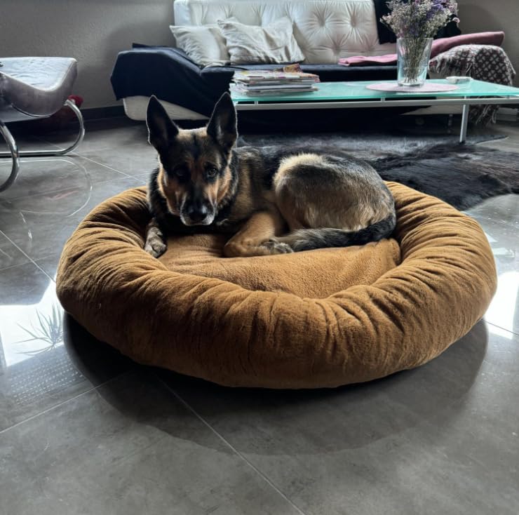hundeleine leder groe hunde Hochwertige Hundeleine "Ludi" aus Leder