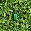 innisfree Green Tea Seed Intensive Hydrating Serum Face Treatment, 2.7 Fl oz (Pack of 1)