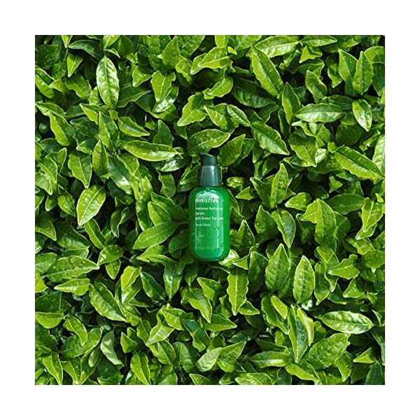 innisfree Green Tea Seed Intensive Hydrating Serum Face Treatment, 2.7 Fl oz (Pack of 1)