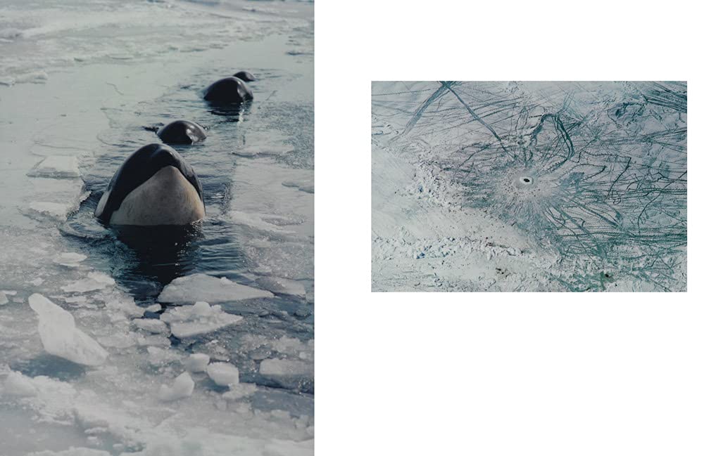 Antarctic Resolution