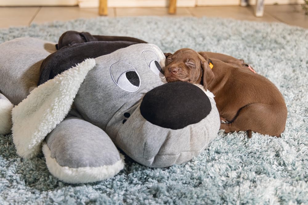 Beeztees Welpe Boomba XL, Plüschtier für Welpen, Hundespielzeug, grau, 70x40x21 cm