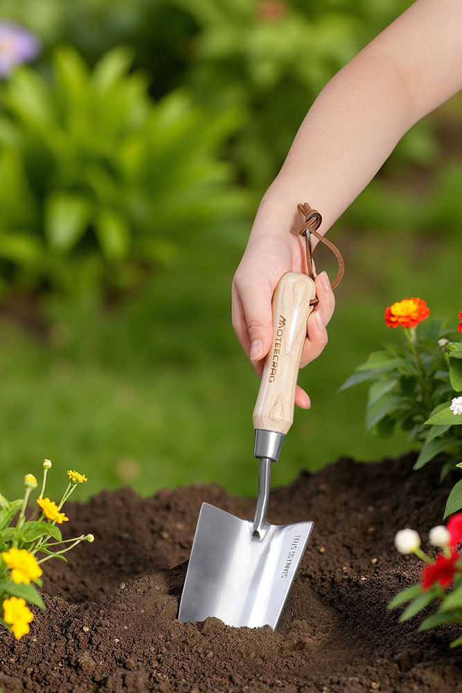 Palita de Jardín Resistente de Acero Inoxidable con Mango de Madera miniatura 7