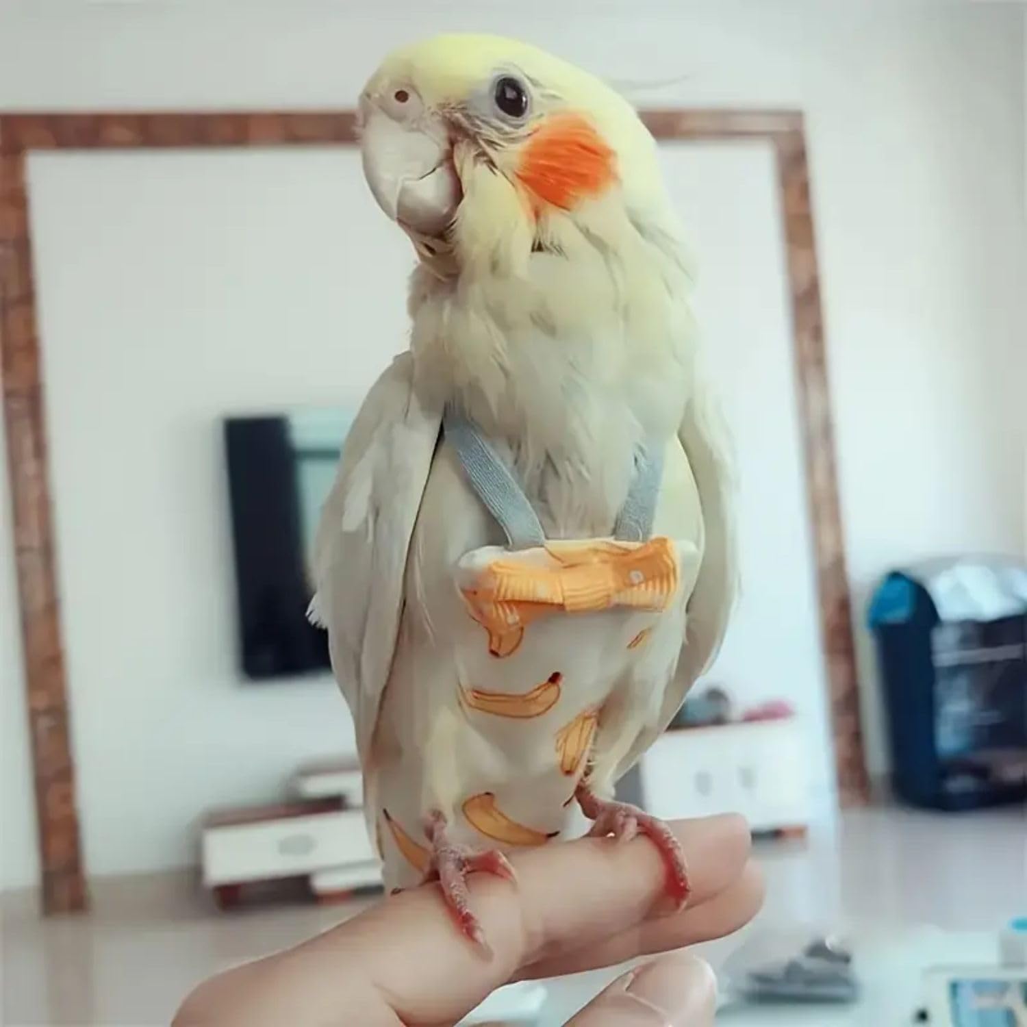 VAYINATO® 2 Pcs (Banana) Adjustable Birds Diaper for Parrot, Budgies, Sun Conures, Lories & Small Birds | Soft Breathable Fabric, Secure Fit for Flight & Ground Use | Easy-Clean Bird Hygiene 1
