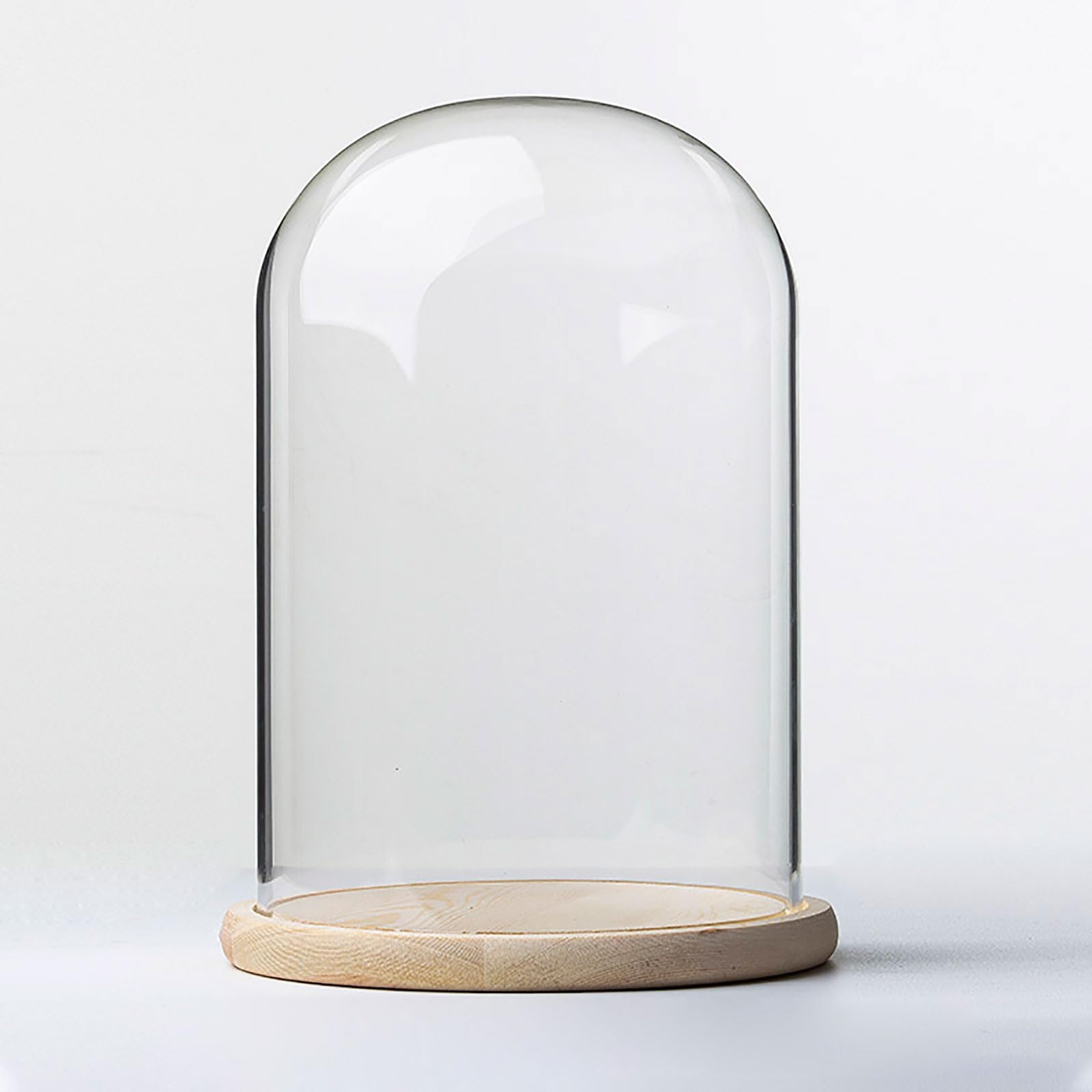 Tihonori Dia 20 Cm Glass Cloche Dome Display With Solid Wood Base For Displaying Plants, Ornaments, Figurines,20 * 25Cm