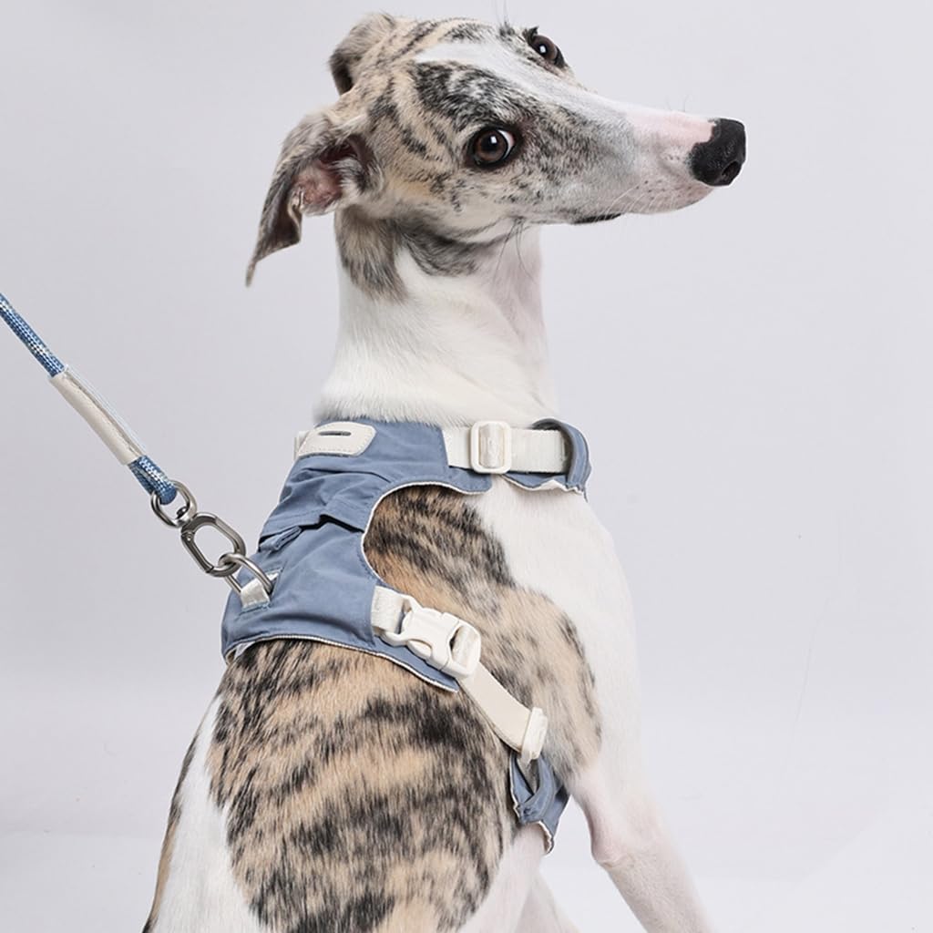 Imbracatura e guinzagli staccabili per cani, regolabile, riflettente, con comoda corda in nylon per la sicurezza delle passeggiate all'aperto