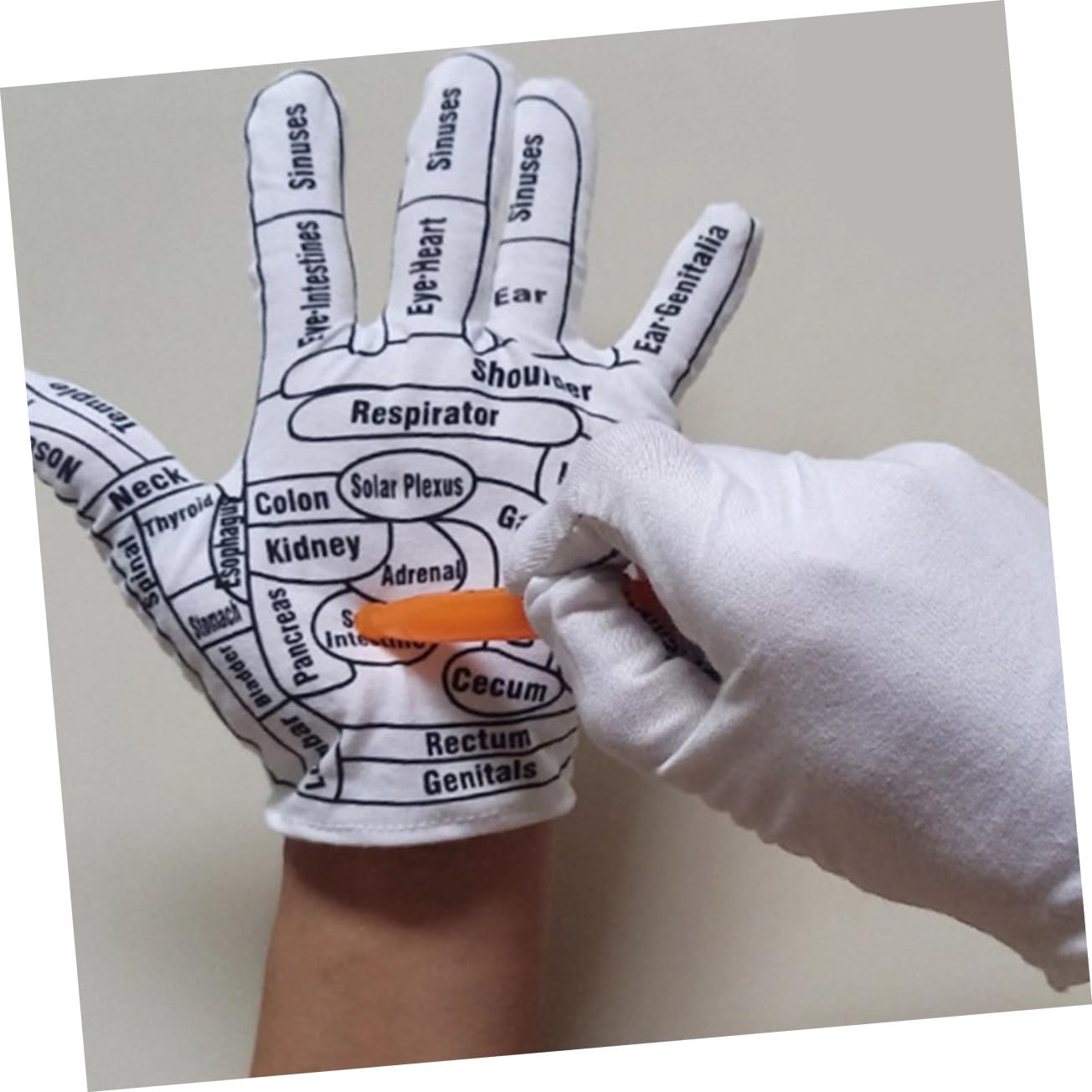 Beavorty 5paare Massagehandschuhe Elastischem Material Wiederverwendbare Tragbare Massagehandschuhe Entspannung Und Schmerzlinderung Geeignet Für Hände Und Füße Für Zuhause Und