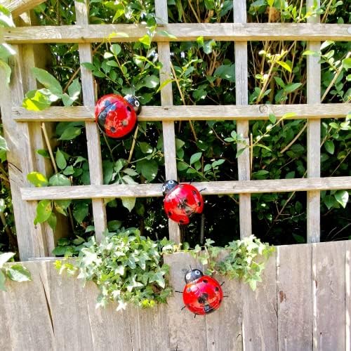 Kitastik Ladybird Metal Garden Wall Art - Garden Wall Decorations Outdoor | Vibrant Outdoor Wall Ornaments for the Garden | Liven up Outdoor Wall Decor | Large Lady Bird Outdoor Wall Art (Set of 3)