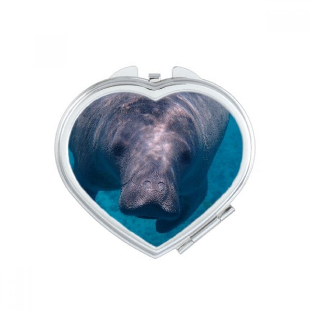 Miroir de maquillage compact portable avec motif poissons marins de poche