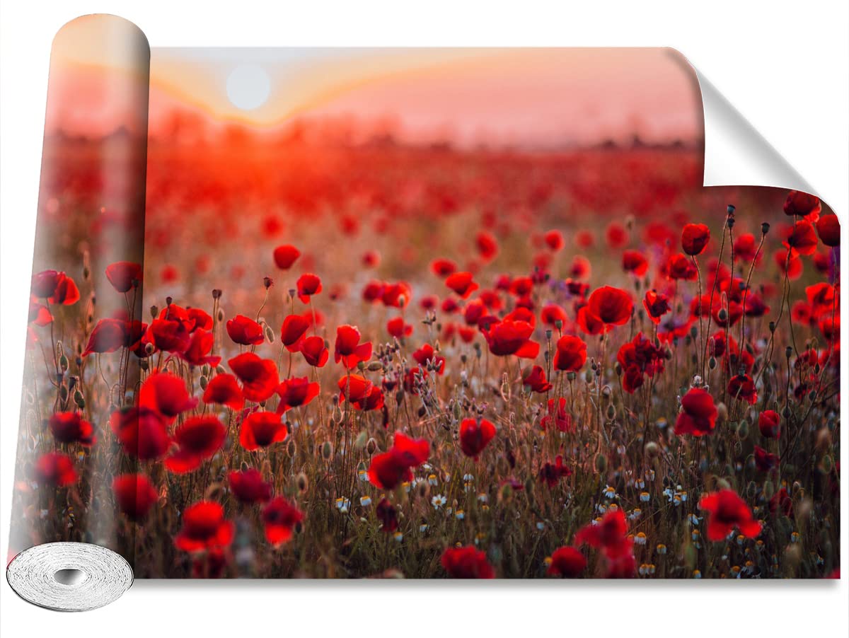 Stickers muraux champ de coquelicots Tulup papier peint pose sans bulle