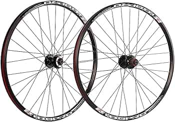 61Yi5q2KCEL._AC_UF350,