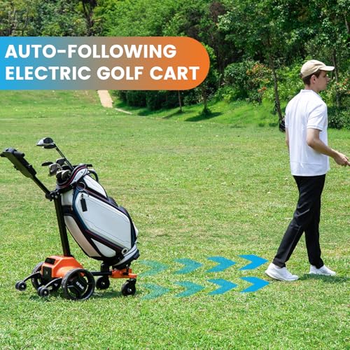 tianhong G5 Electric Golf Cart