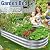 MOFEEZ Galvanized Raised Garden Bed Kit, 2Pcs 6x3x1Ft Galvanized Planter Raised Beds, Oval Large Metal Raised Garden Beds Outdoor for Vegetables, Flowers, Herbs, and Fruits