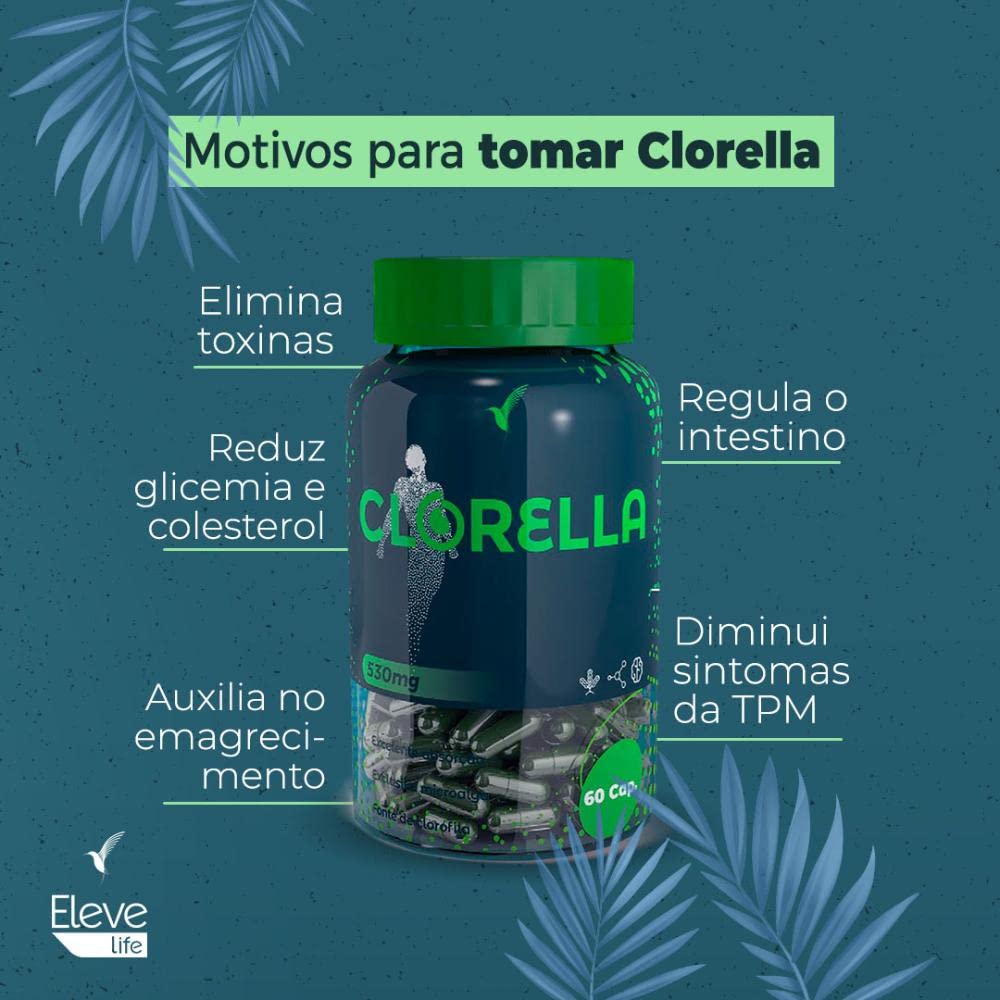 Kit Spirulina 30 dias 60 cáps + Clorella 20 dias 60 cáps em promoção! Veja a oferta e mais achadinhos de Vitaminas & Suplementos 5 Hoje é o melhor dia para comprar Kit Spirulina 30 dias 60 cáps + Clorella 20 dias 60 cáps com aquele preço maroto! Promoção! Aproveite a oferta! 5