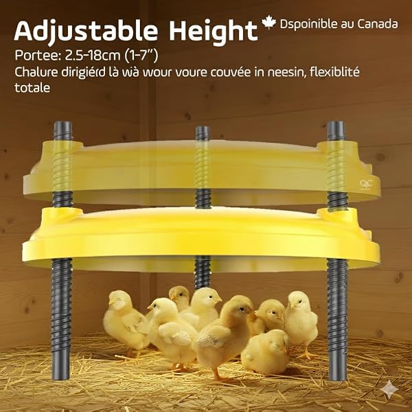 Brooder-Chick Brooder, Chicken Coop Heater 35W 12"x12" Adjustable Heating Plate for Baby Chicks, Safe and Energy-Efficient Brooder Heater for Poultry and Ducklings - 2