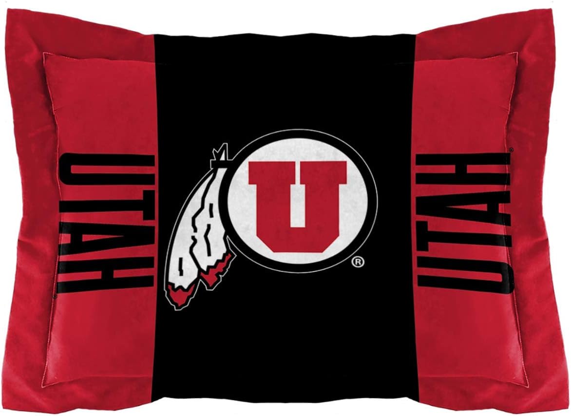 Officially Licensed NCAA "Modern Take" Twin Comforter and Sham