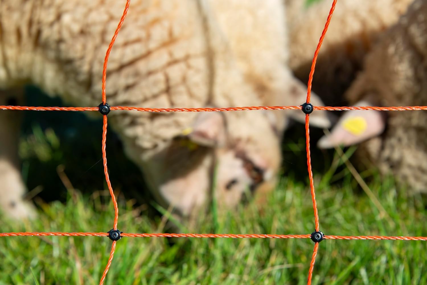 Horizont strongLine Clôture électrique pour moutons 90 cm de haut – Clôture de 50 m de long, 14 piquets en fibre de verre à double pointe – Clôture mobile pour moutons, chèvres et agneaux – Ensemble