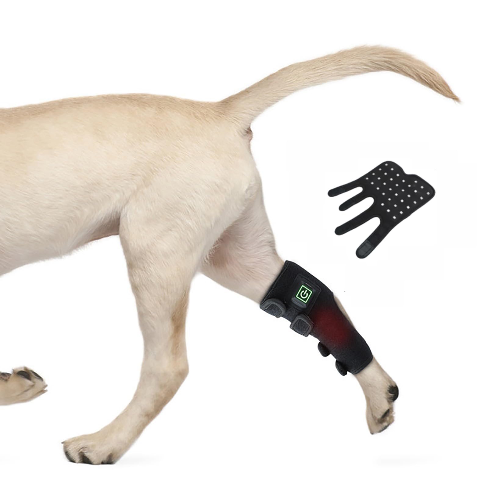 Amazon.co.jp: HZFAIGLL ペット犬用赤色光療法ベルト、犬の脚用