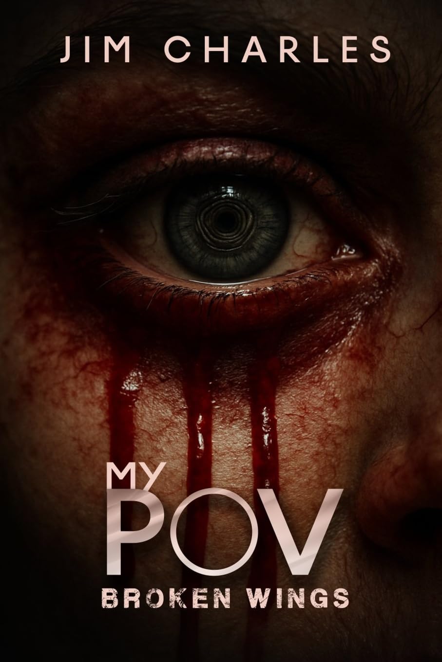 My POV: Broken Wings