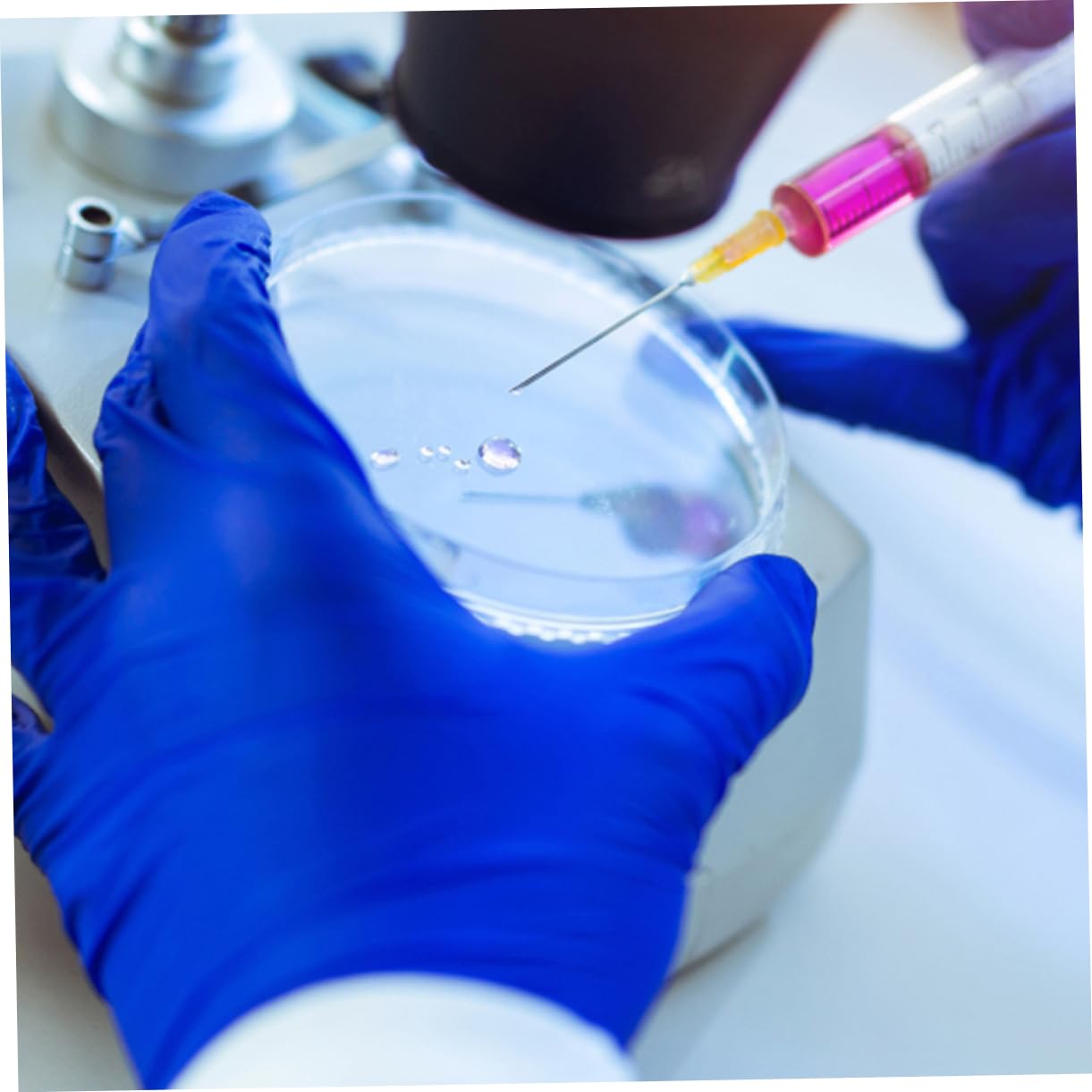 Gatuida 50pezzi Piastre Di Coltura Plastica Trasparente Con Coperchio Per Esperimenti Di Laboratorio Resistenti e Pratiche Per Scuole e Ricerca Scientifica