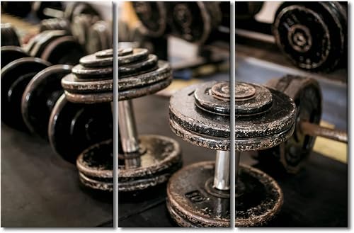 TUMOVO Motivational Canvas Wall Art Dumbbells Paintings Fitness Equipment Prints