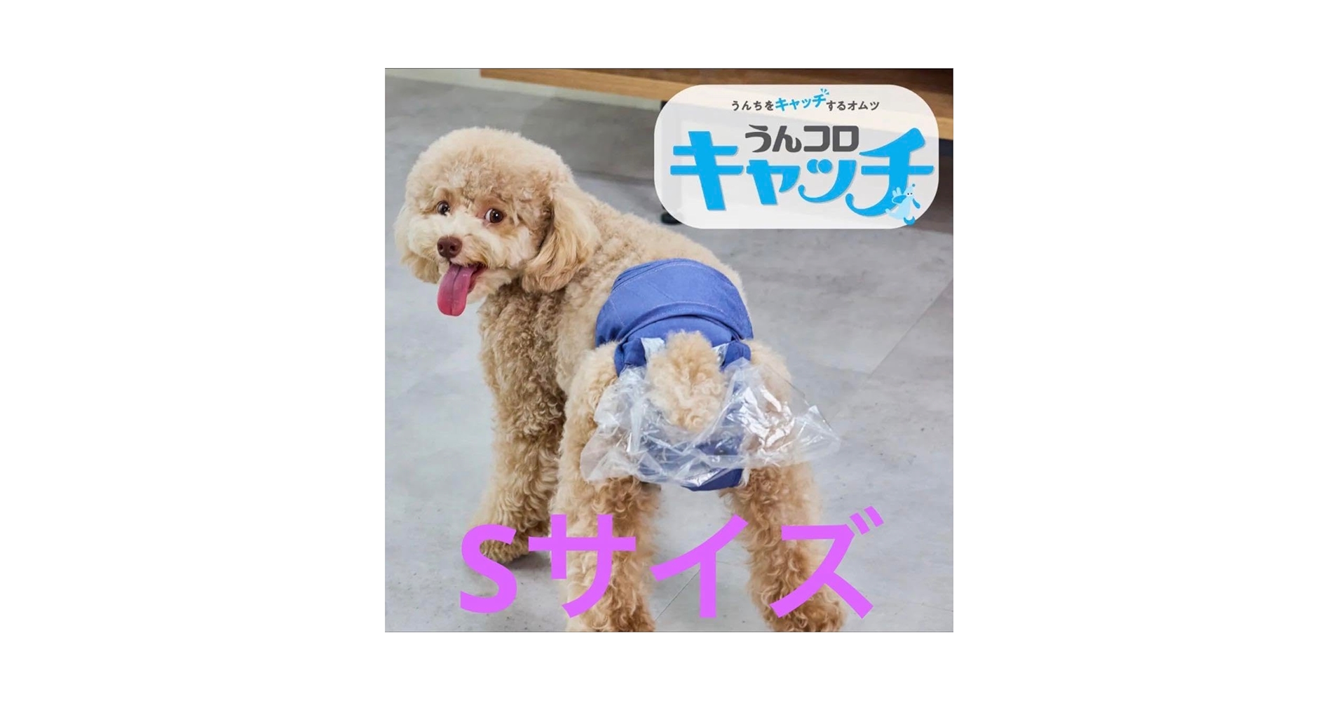 新品未使用うんコロキャッチセット 新品未使用うんコロキャッチセット