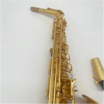 Amazon | ハイエンドマットゴールドアルトサックスEフラットトーン