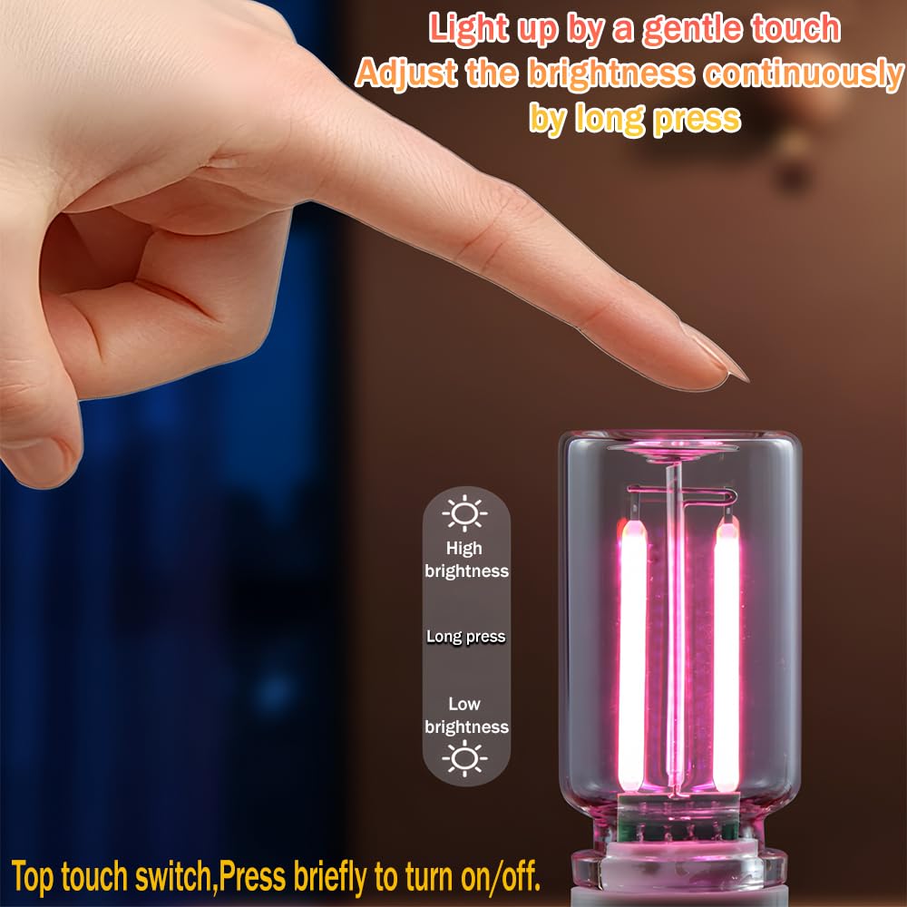 Paquete de 2 luces LED para interior de coche, luz USB para decoración de coche y dormitorio, iluminación ambiental regulable al tacto, mini luz nocturna de botella de vidrio para regalos de camping