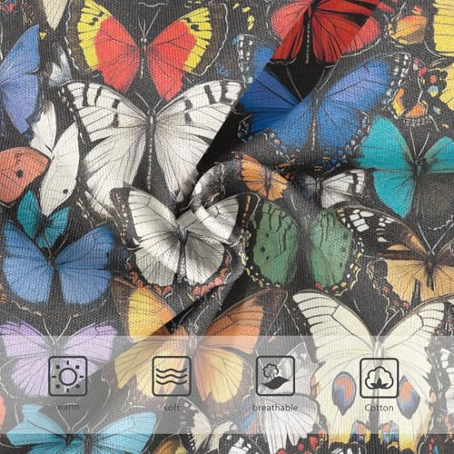 Girls Underwear Soft Cotton Colorful Butterfly Kids Panties in Sizes 2/3t, 4t, 5t, 6 and 83