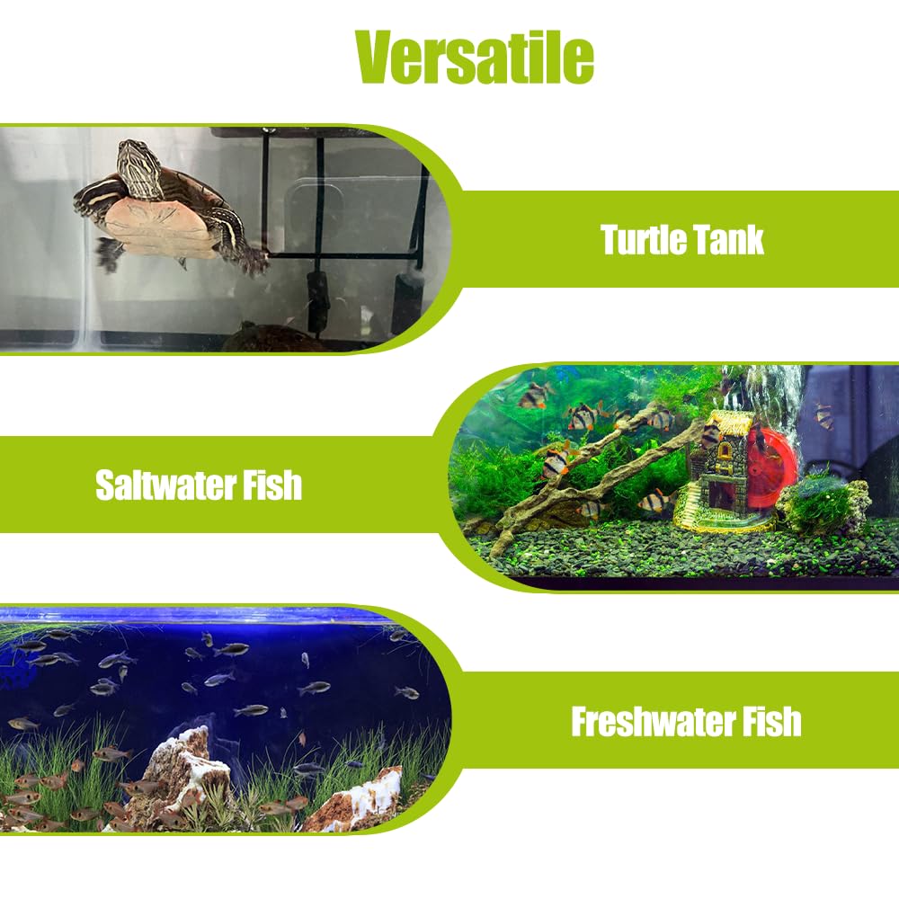 Pinces Magnétiques pour Nourrir Les Algues, Pince d'alimentation en Algues, Mangeoire Magnétique pour Aquarium, Distributeur Magnétique d'algues pour Aquarium d'eau Douce et d'eau de Mer