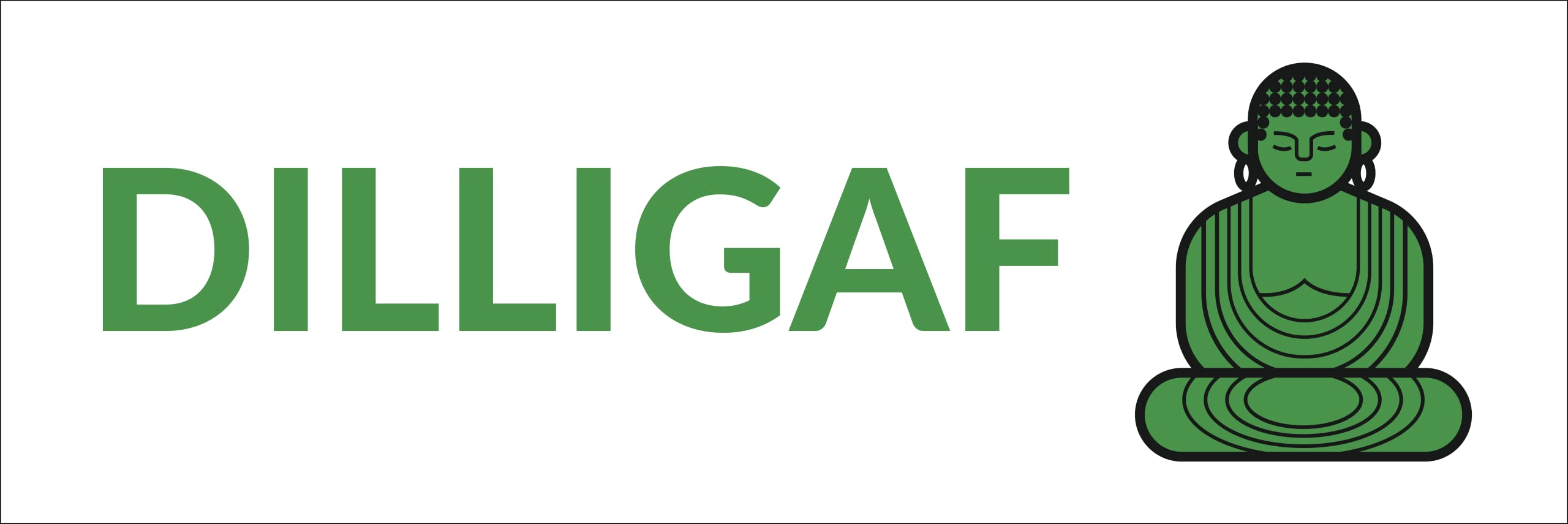 Dilligaf Waterproof Vinyl Bumper Sticker for Cars Trucks Laptop
