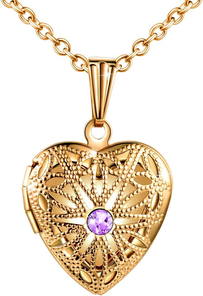 MicLeeMicLee Ladies Necklace Photo Locket Pictures Amulet Purple Cubic Zirconia Heart Pendant Necklace Stainless Steel with Gift Box Greeting Card