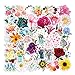 PRETTYSUNSHINE Aesthetic Sticker Set 50 Stück, Blume Aufkleber Vintage Sticker für Scrapbooking Fahrrad Koffer Helm Laptop Skateboard Auto Motorrad Stickerbomb Wasserfest