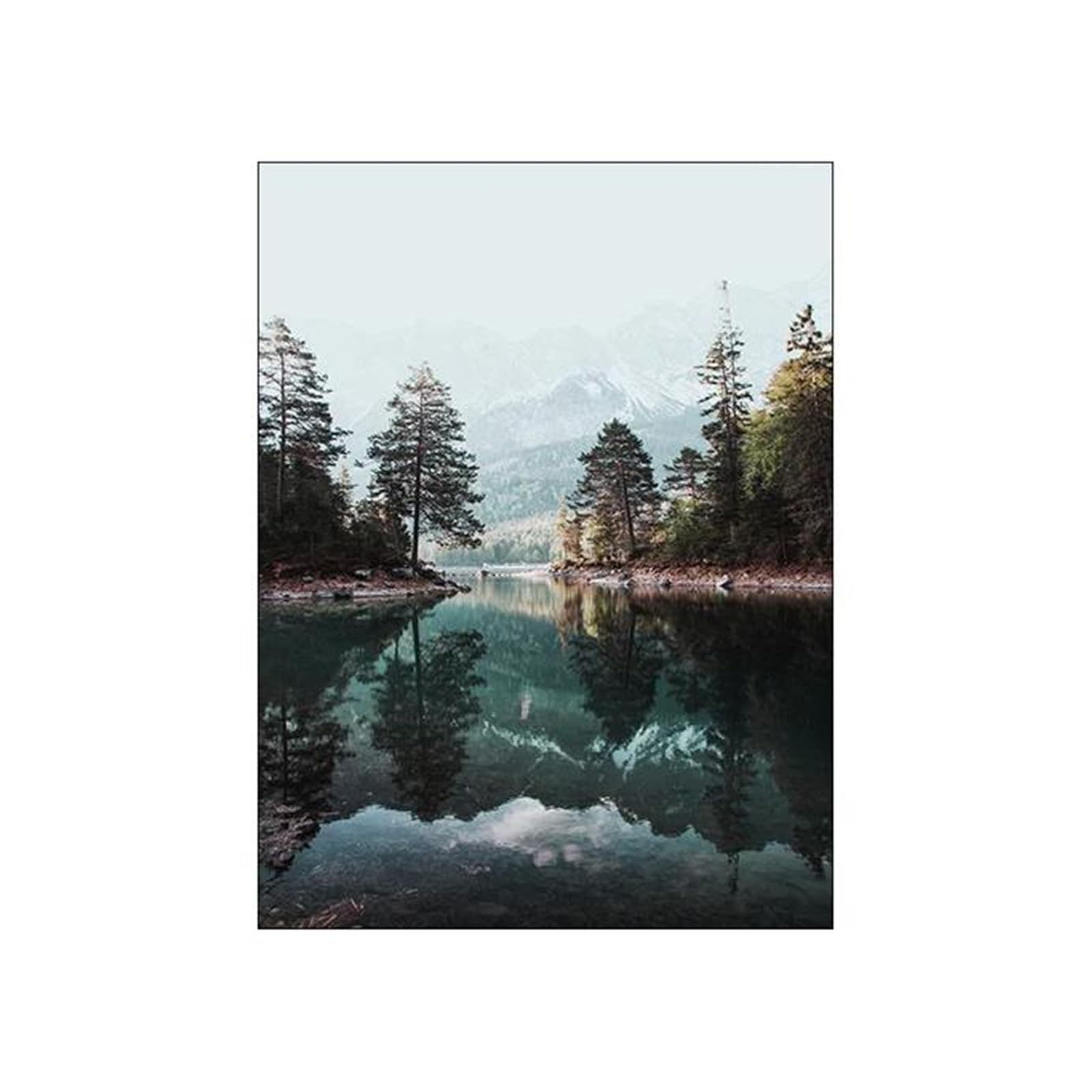 Byambd A Esthetic Pictures Scenery Picture Nordic Quote Flower Deer Posters Print Wall Rt Esthetics Canvas Painting For Living Room Modern Home Decor(,30X40cm)