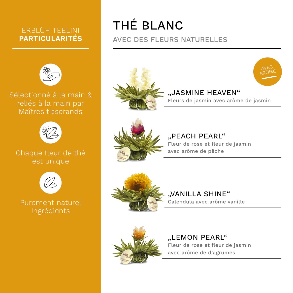 Creano Coffret Teelini 12 pcs – Boîte en Bois avec Fleurs de Thé Blanc en Portion de Tasse – 4 Saveurs Délicates – Idée Cadeau Durable, Femme & Bureau