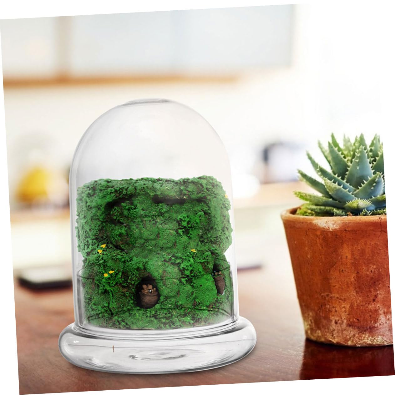 Terrario Micro Paesaggio DIY in Vetro, per Piante e Fiori
