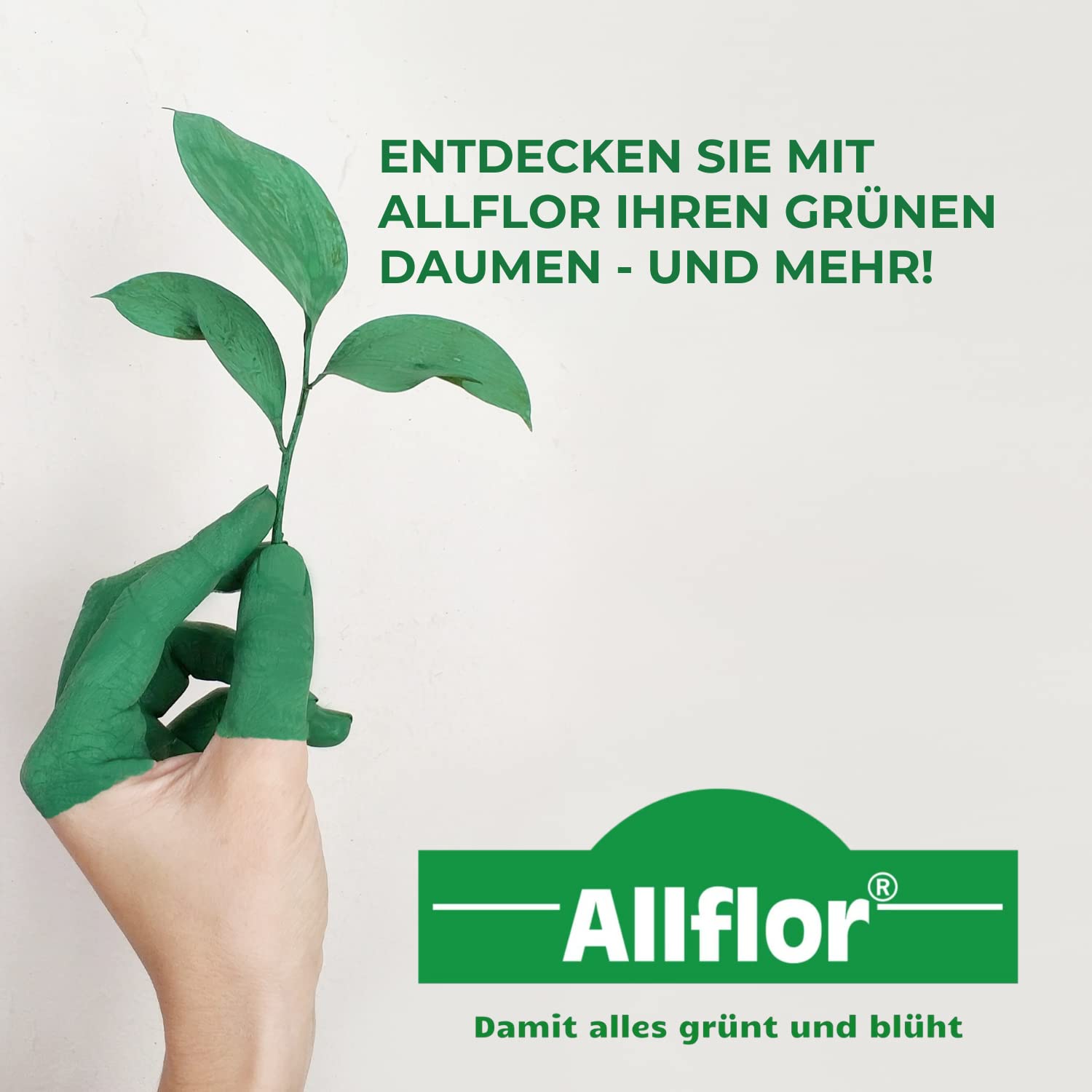 Allflor Rinderdung gekörnt - 4 x 12,5 Kg - Rinderdungpellets im Beutel - Wirtschaftsdünger von Rindern - Biologischer Gartendünger - Rindermist - Fördert die Humusbildung