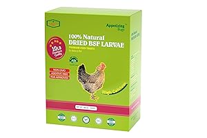 Amzey Dried Black Soldier Fly Larvae: Supercharge Your Poultry's Health!